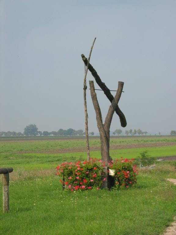 Gasthof Zur Linde Sankt Andrä bei Frauenkirchen Esterno foto